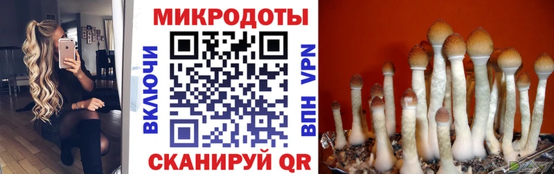 купить  сайты  Котельнич  Галлюциногенные грибы Cubensis 